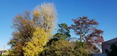 日枝神社の自然