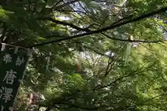 唐澤山神社の建物その他