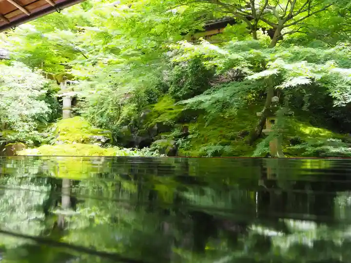 光明寺瑠璃光院の庭園