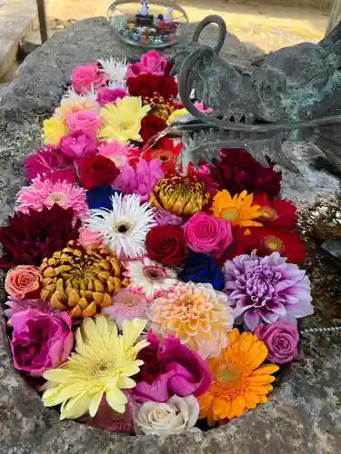 彌都加伎神社の手水舎