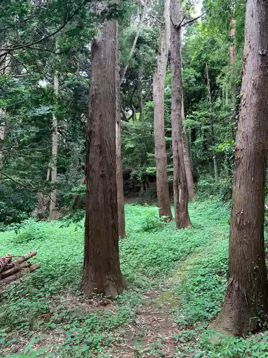 星宮神社(千葉県)