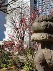 成子天神社の狛犬