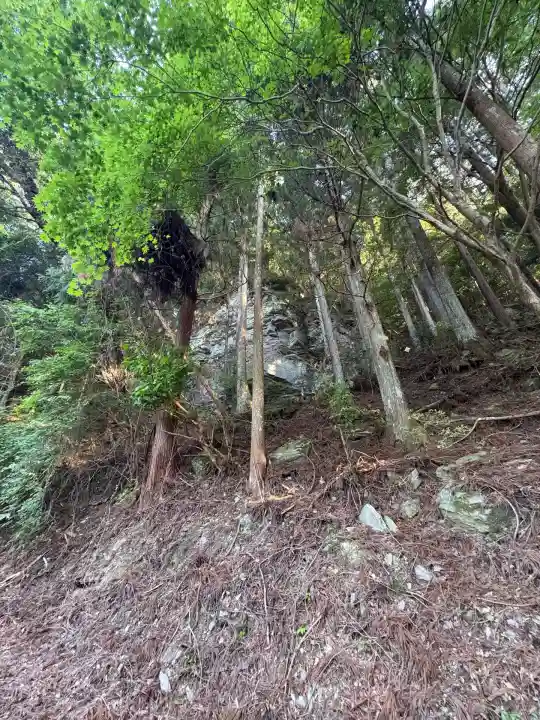 竜王窟(徳島県)