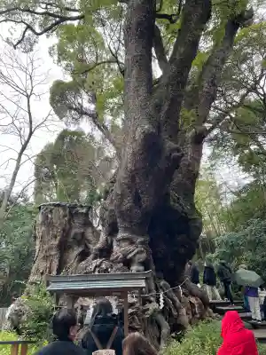 來宮神社の{uncategorized: "未分類", other: "その他", undefined: "問題あり", building: "その他建物", grave: "お墓", sacred_gate: "鳥居", guardian: "狛犬", statue: "像", buddha: "仏像", history: "歴史", nature: "自然", garden: "庭園", animal: "動物", pagoda: "塔", temizu: "手水舎", mountain_gate: "山門・神門", sanctuary: "本殿・本堂", subordinate: "末社・摂社", art: "芸術", scenery: "景色", jizo: "地蔵", ema: "絵馬", goshuin: "御朱印", omikuji: "おみくじ", items: "授与品その他", amulet: "お守り", goshuincho: "御朱印帳", eats: "食事", festival: "お祭り", votive_dance: "神楽", shichigosan: "七五三参", wedding: "結婚式", experience: "体験その他", initially: "初詣", around: "周辺", anti_infection: "感染症対策"}