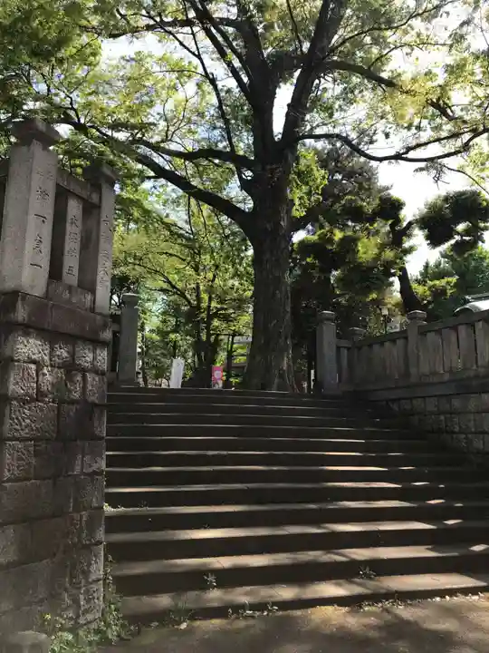 鬼子母神堂 (法明寺)の自然