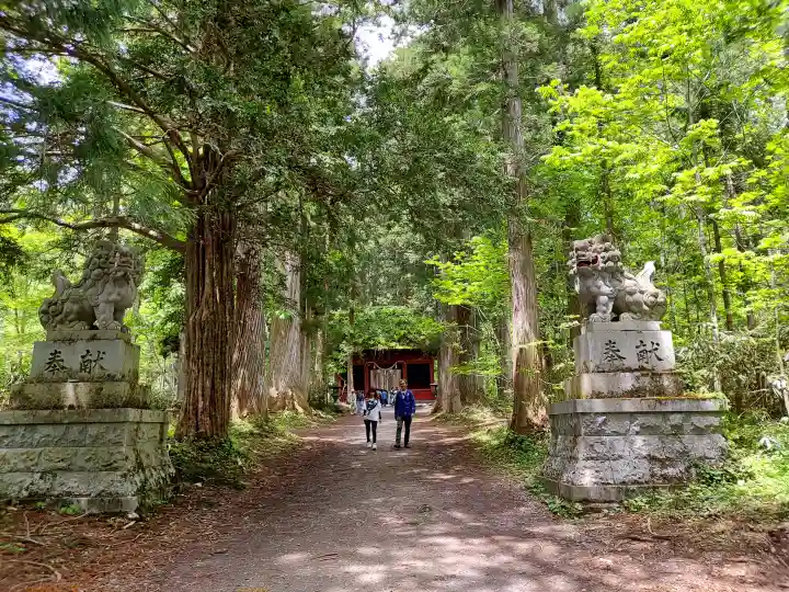 戸隠神社奥社の{uncategorized: "未分類", other: "その他", undefined: "問題あり", building: "その他建物", grave: "お墓", sacred_gate: "鳥居", guardian: "狛犬", statue: "像", buddha: "仏像", history: "歴史", nature: "自然", garden: "庭園", animal: "動物", pagoda: "塔", temizu: "手水舎", mountain_gate: "山門・神門", sanctuary: "本殿・本堂", subordinate: "末社・摂社", art: "芸術", scenery: "景色", jizo: "地蔵", ema: "絵馬", goshuin: "御朱印", omikuji: "おみくじ", items: "授与品その他", amulet: "お守り", goshuincho: "御朱印帳", eats: "食事", festival: "お祭り", votive_dance: "神楽", shichigosan: "七五三参", wedding: "結婚式", experience: "体験その他", initially: "初詣", around: "周辺", anti_infection: "感染症対策"}