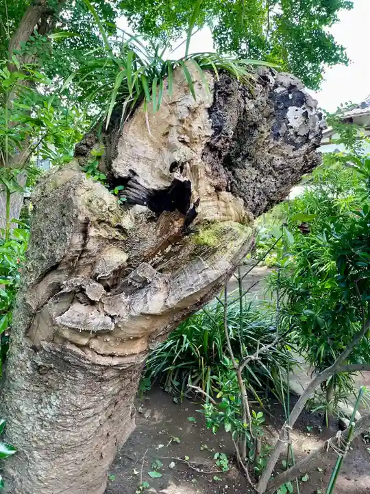 由比若宮(元鶴岡八幡宮)(神奈川県)