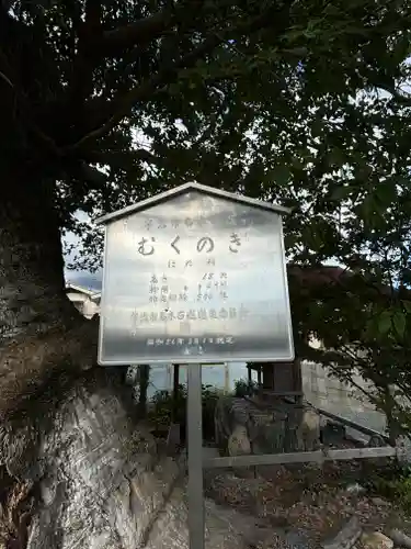 蔵林寺(京都府)