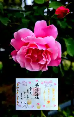 ☆誕生日御朱印☆
誕生月いっぱいは書いていただけます。
誕生日御朱印を書いていただくと他の御朱印は書置きになるようです。