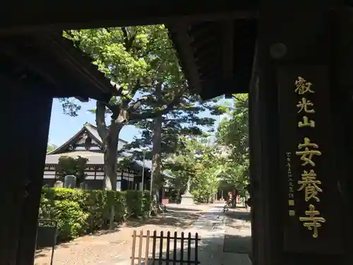 安養寺の山門