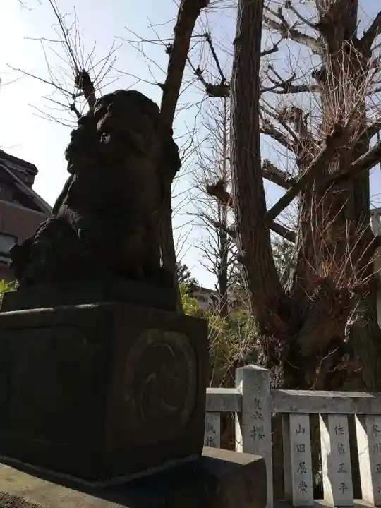 桐ヶ谷氷川神社の狛犬