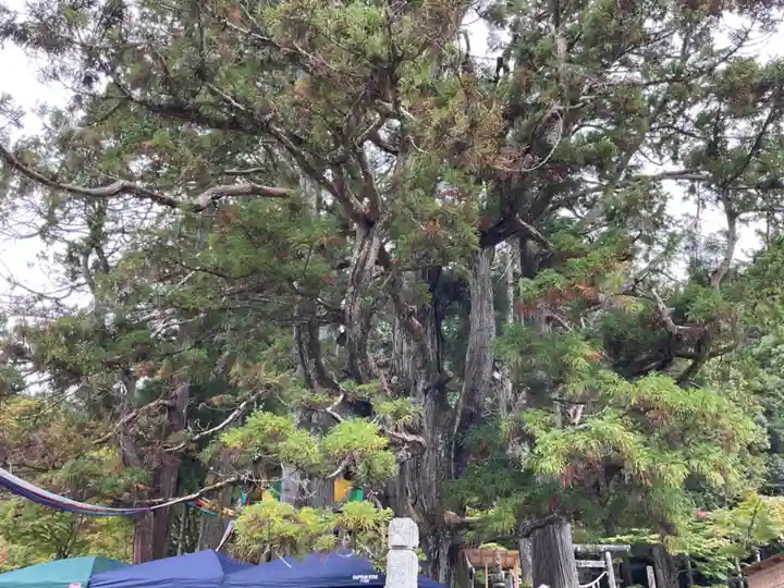 平勝寺(愛知県)