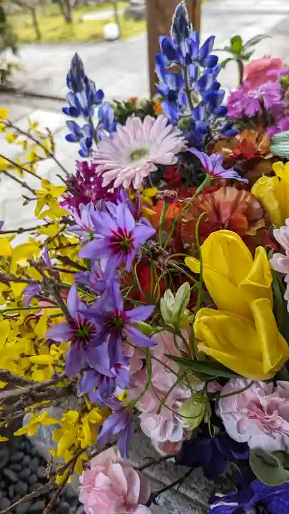 勝林寺(京都府)