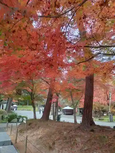 中尊寺(岩手県)