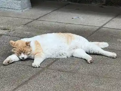 雀神社(茨城県)