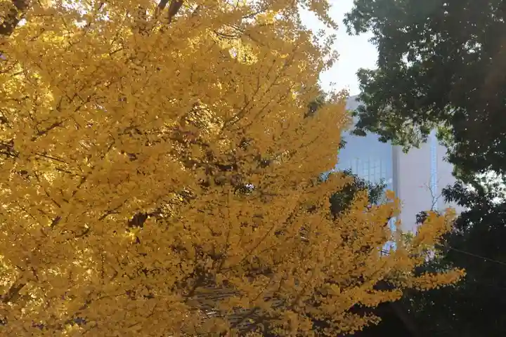 阿邪訶根神社の自然