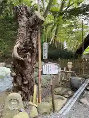 千歳神社(北海道)