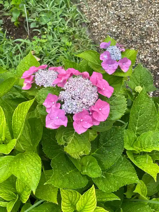 久安寺(大阪府)
