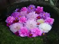 菅生神社の手水舎