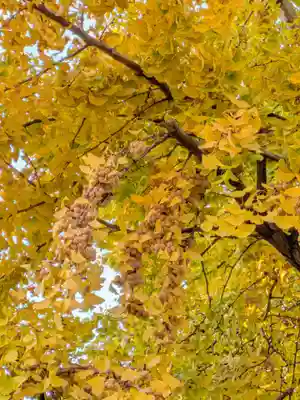 仙寿院(東京都)