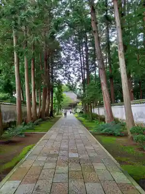 國分寺のその他建物