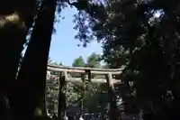 日光東照宮(栃木県)