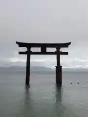 白鬚神社の鳥居