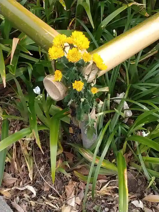 心行寺(神奈川県)