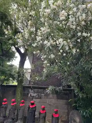 養福寺(東京都)