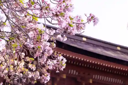 富士山本宮浅間大社の自然