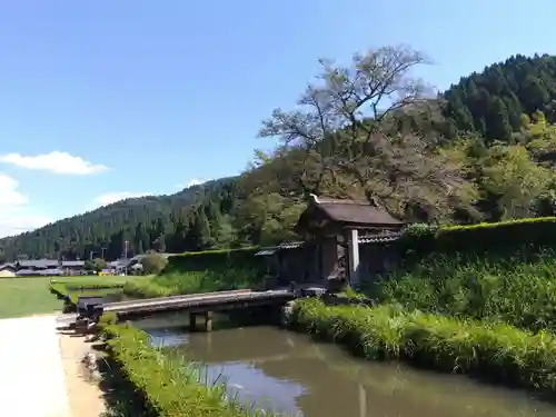 朝倉神社(福井県)