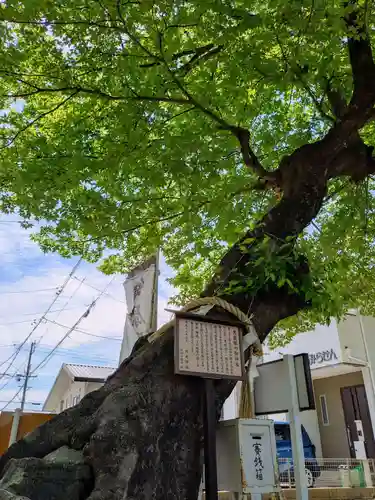 田光八幡社(愛知県)