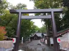 旭川神社の鳥居