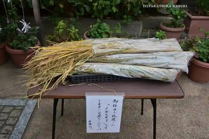 川越八幡宮(埼玉県)