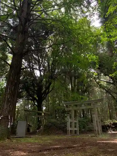 喜多神社の鳥居