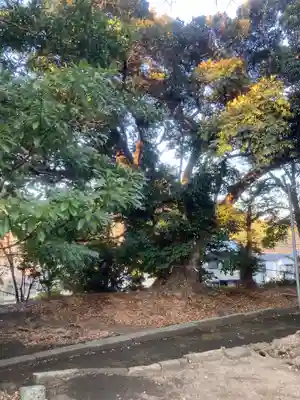 五霊神社(神奈川県)