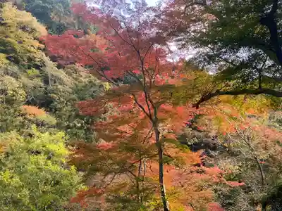 瀧安寺(大阪府)