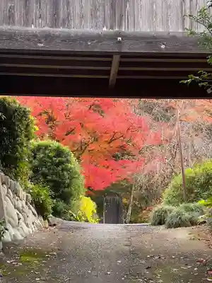 関善光寺(岐阜県)