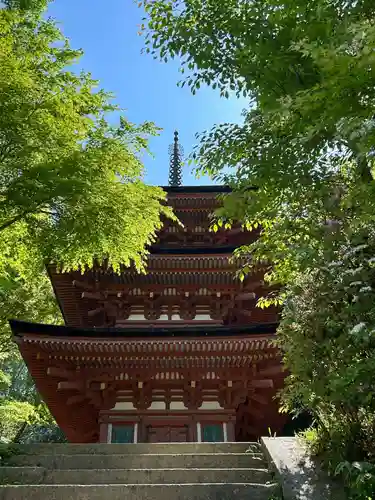 浄瑠璃寺(京都府)