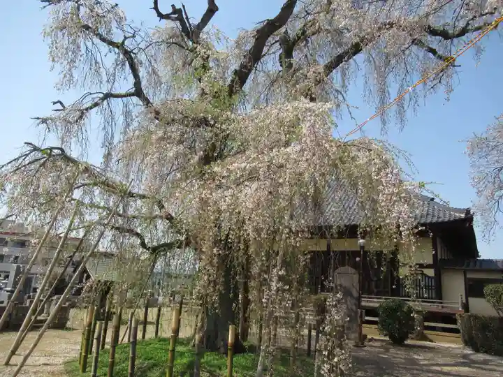 観音寺(茨城県)
