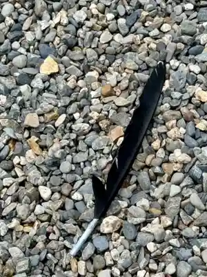 御上神社(滋賀県)