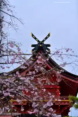 富士山本宮浅間大社(静岡県)