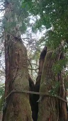 高岡神社(岡山県)