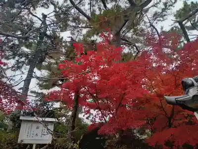 阿部野神社(大阪府)