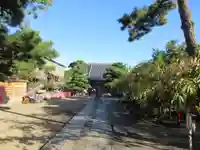 葛井寺(大阪府)