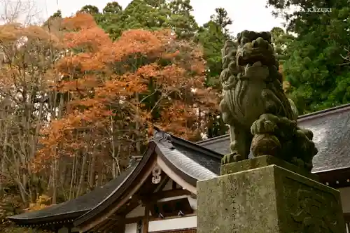 戸隠神社中社の狛犬