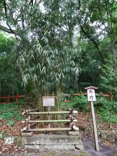 宇佐神宮の自然