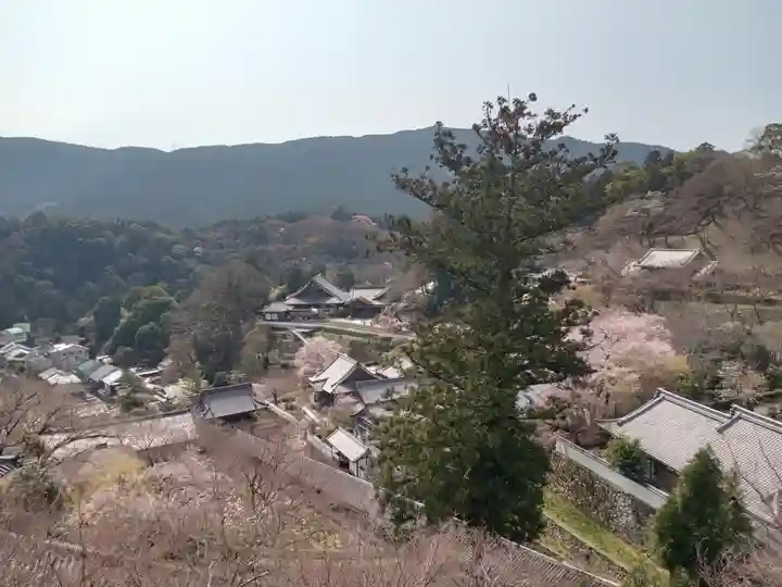 長谷寺(奈良県)