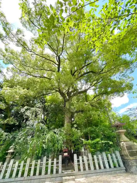 富部神社(愛知県)