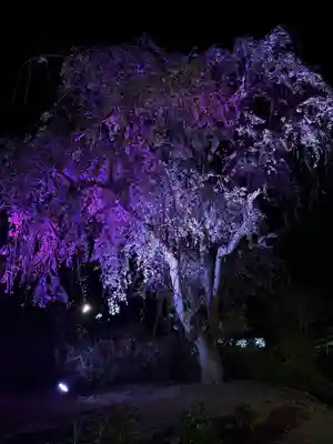 金蛇水神社(宮城県)
